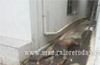 Unidentified man found dead at Attavar